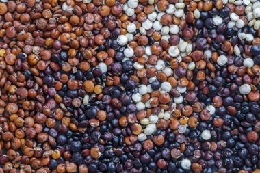 Arka planda beyaz, kırmızı ve siyah kinoa tohumları, yakın plan, üst görünüm