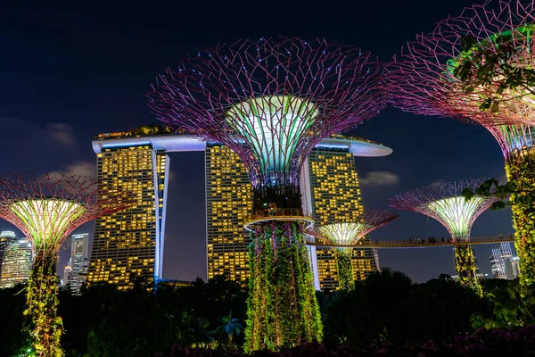 Singapur Singapur Luty 2020 Hotel Marina Bay Sands Kolorowe Superdrzewa — Zdjęcie stockowe