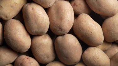 Olgun patates yumrusu hasadı, yakın çekim, üst görüş, dönüşümlü. Nişasta, karbonhidrat zengini, Amerika 'ya özgü sebze kökü. Patates, temel tüp besin olarak kabul edilir.