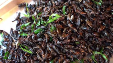 Kızarmış Ağustos Böceği Tayland 'da geleneksel Tayland yemeklerinden biridir. İyice kızarana kadar kızarırlar. Ta ki gevrek, tuzlu ve protein açısından zengin bir atıştırmalık olana kadar.