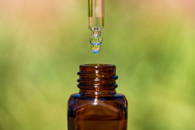 Gerekli olan yağ damlası cam damlacıktan kozmetik şişeye dökülür, yakın çekim. Bitki özü yeşil doğal arka planda koyu cama düşüyor, makro.