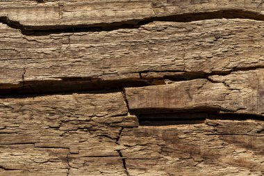 Çatlak çam ağacı dokusu ya da arka plan, yakın plan. Ahşap kaba yüzey