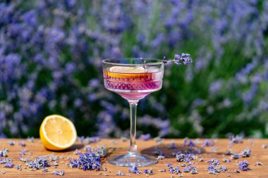 Yeşil bir yaz bahçesine karşı ahşap masada zarif kristal bardakta servis edilen parlak kokteyl ya da limonata. Eflatun çiçekli mor renkli içecek ve bir dilim limon.