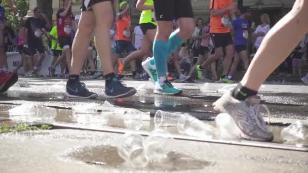 Plastic cups and a puddle of water and legs of running marathon runners — Stock Video