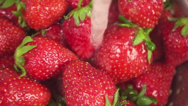 Slow motion a stream of water pours onto a strawberry in a colander — Stock Video