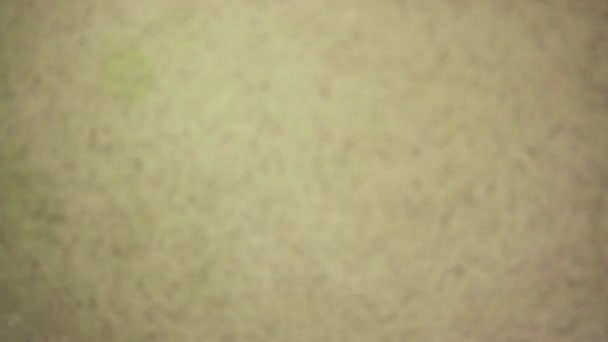 Рух фотоапарата на полуниці під водою в раковині повільний рух — стокове відео