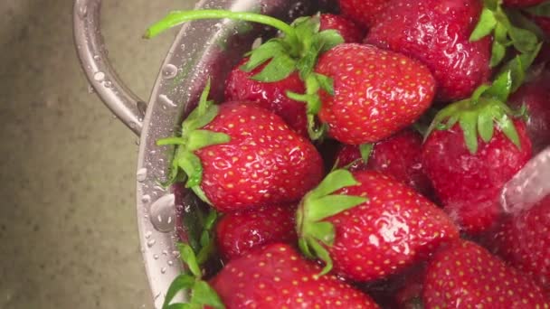 Slow motion the camera moves over a sink with a strawberry in a colander — Stock Video