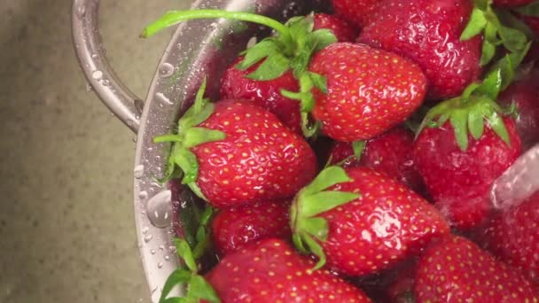 Movimento lento la fotocamera si muove su un lavandino con una fragola in un colabrodo — Video Stock