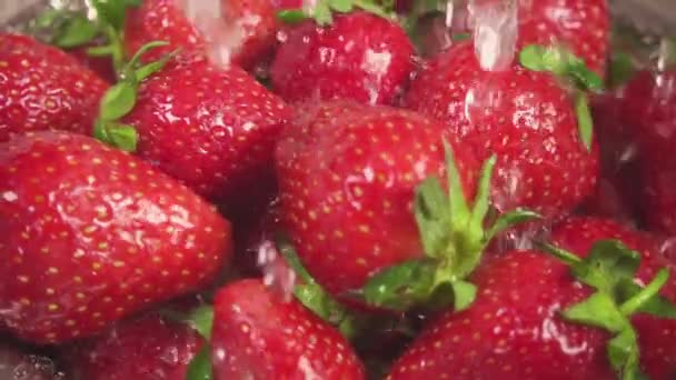 Närbild på en jordgubbe under droppar vatten slowmotion — Stockvideo