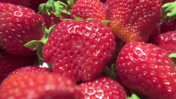 Erdbeeren Nahaufnahme und Bewegungskamera — Stockvideo