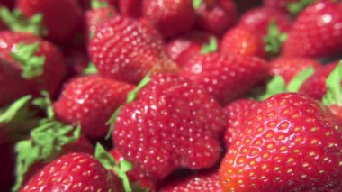 Kamera üzerinde çilek yavaş hareket