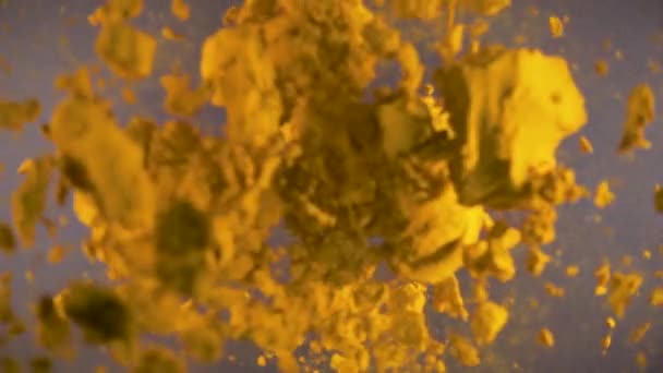 Slow motion dry spices fall down — Stock Video