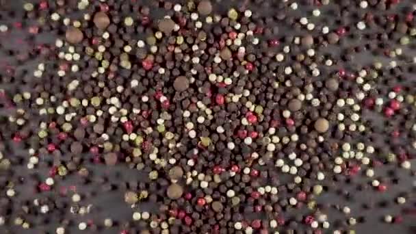 Slow motion dry spices fall down — Stock Video