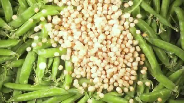 慢动作干豌豆落在豌豆荚上 — 图库视频影像