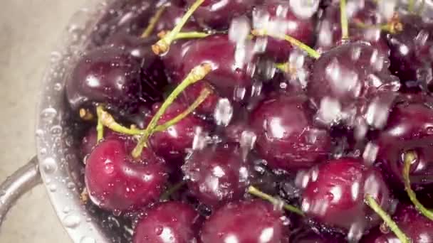 A mosogató cseresznye egy szűrőedény alatt a víz-lassú mozgás — Stock videók