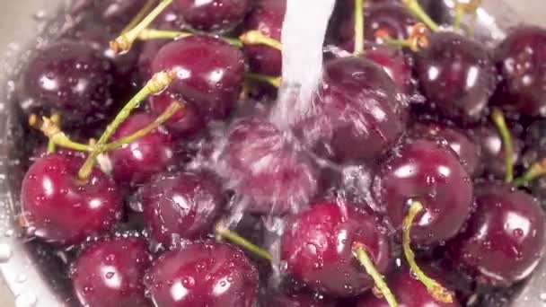 In the sink cherry in a colander under the water slow motion — Stock Video