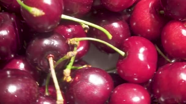 La cosecha de cereza jugosa en el plato gira — Vídeo de stock