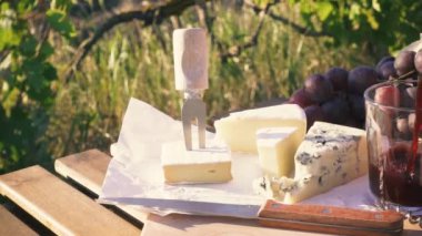 Ağır çekim piknik açık havada üzüm bağları