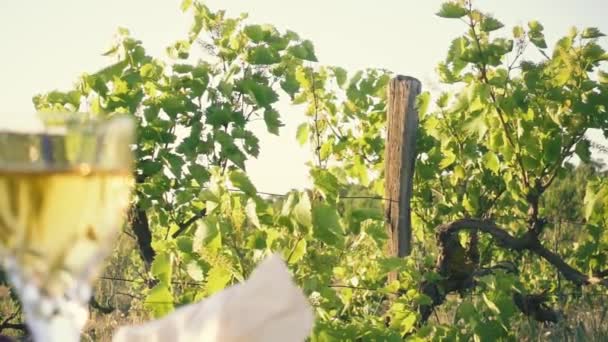 Vieille belle caméra ralenti vigne — Video