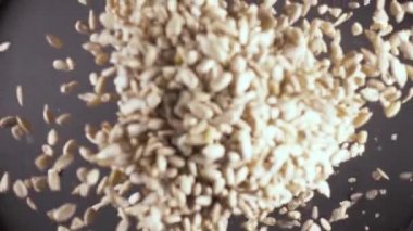 Ağır çekim kamera altından gri bir arka plan ayçiçeği tohumu Güz soyulmuş