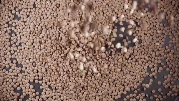 Lassú mozgás száraz összetevő kukoricadara esik alól a kamera — Stock videók