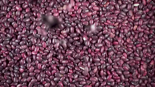 Slow motion dry ingredient groat falls from under the camera — Stock Video