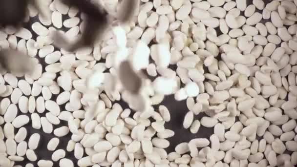 Zpomalený pohyb suché přísady mlynářských spadá pod fotoaparát — Stock video