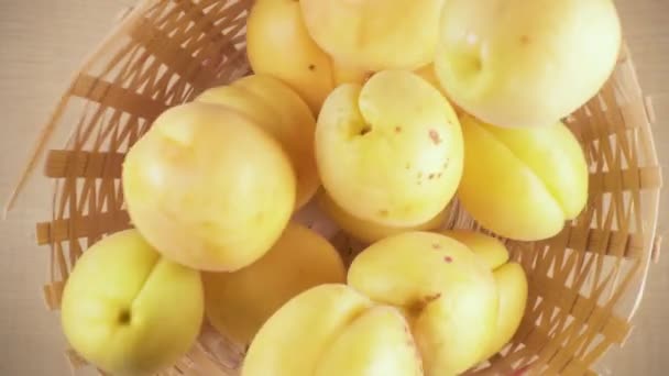 Slow motion apricots fall into the basket from under the camera — Stock Video