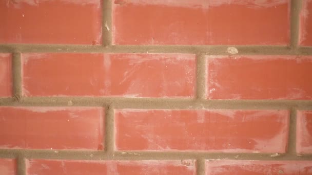 Red brick wall and camera movement — Stock Video