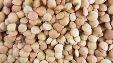 Tahıl tahıl yakın çekim dökün