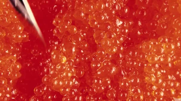 Cuchara tomar caviar rojo vista superior — Vídeo de stock