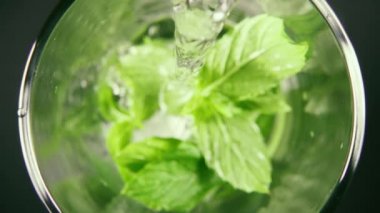 Ağır çekim bir bardak nane ve buz en iyi manzaralı içine su dökün