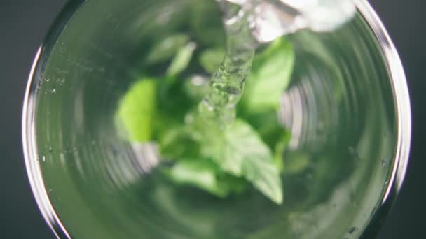 Menthe au ralenti sur le fond d'un verre et vue de dessus de l'eau — Video