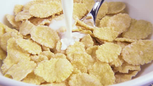 Zeitlupe in Cornflakes gießen Milch in Großaufnahme — Stockvideo