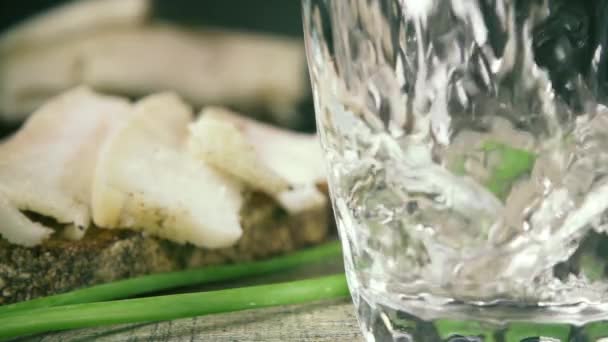 Slow motion vodka and snack according to Russian traditions — Stock Video