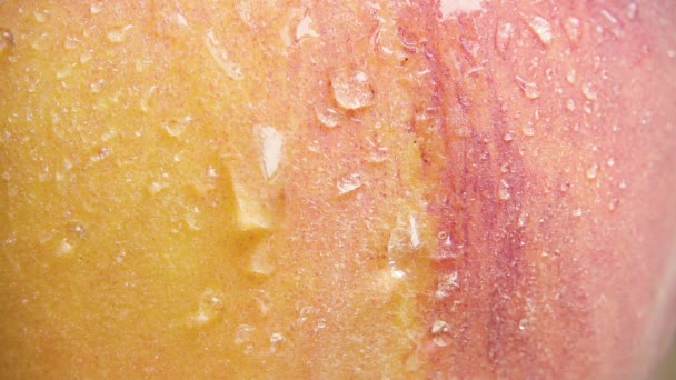 Spada powoli spływają zbliżenie skóry brzoskwinia — Wideo stockowe