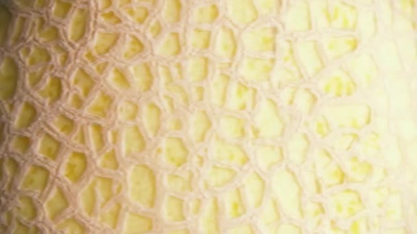 A casca de melão texturizada lenta gira close-up — Vídeo de Stock