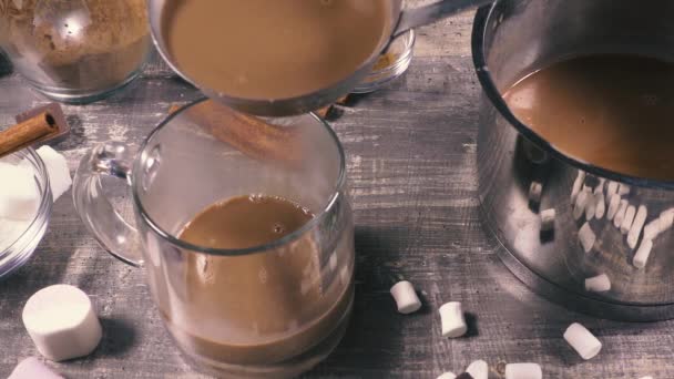 Preparazione al rallentatore di bevande calde al cacao — Video Stock