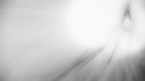 Красивый абстрактный акварельный колорит — стоковое видео