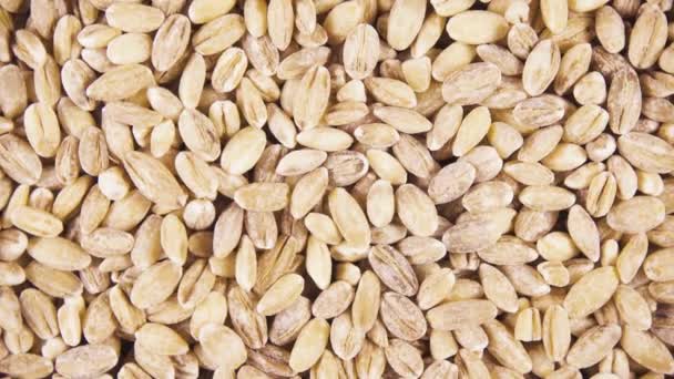 Antecedentes Cebada Giratoria Sentido Horario Cereales Sin Tratar Vista Superior — Vídeo de stock