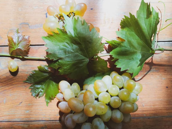 Bunches of grapes and leaves top view — Stock Photo, Image