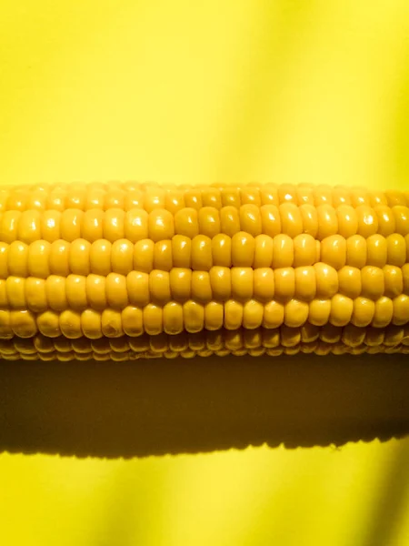 Cob of sweet corn on a yellow background — Stock Photo, Image