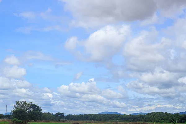 蓝天和美丽的云彩与草甸 夏季海报的平原景观背景 多云的天空抽象背景 — 图库照片