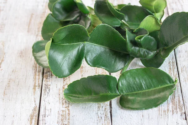 Frisse Thaise Curry Verse Groene Blad Bergamot Houten Tafel Achtergrond — Stockfoto