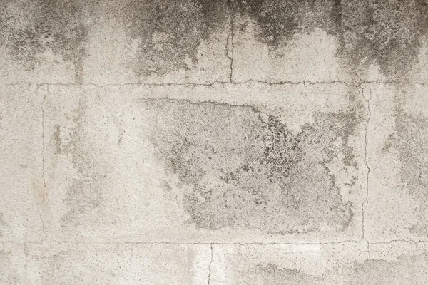 Grunge white and grey old cement wall texture background. — Stock Photo, Image