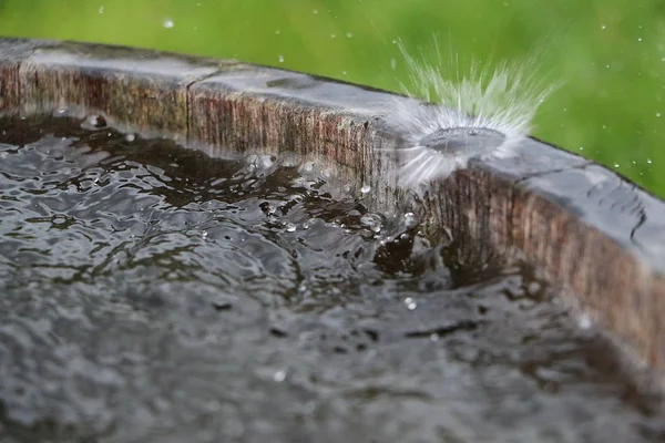 Lluvia Cae Barril Madera Lleno Agua Jardín —  Fotos de Stock