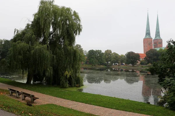 Vackra Romantiska Sker Ett Litet Hav Med Weeping Willow Och — Stockfoto