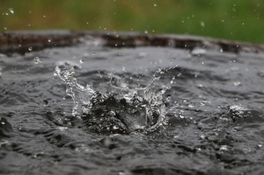 Yağmur, bahçedeki su dolu bir varile düşüyor.