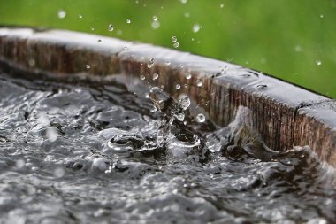 Yağmur, bahçedeki su dolu bir varile düşüyor.