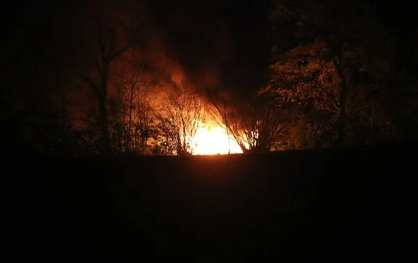 Gran Fuego Está Ardiendo Bosque Por Noche —  Fotos de Stock